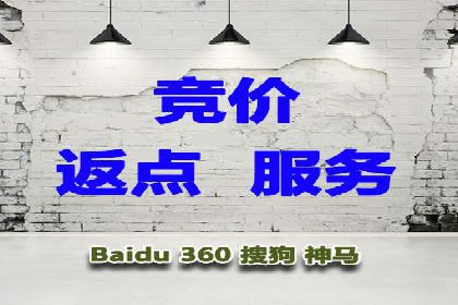 SEM运营推广策略案例分析